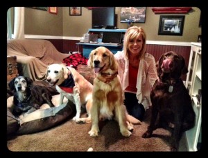 dogs
